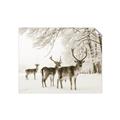 Picture of Winter Deers _GroupedProduct_Rectangle_Landscape_Photography _GroupedProduct_Rectangle_Landscape_Unframed_Print_Only_
