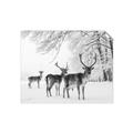 Picture of Winter Deers _GroupedProduct_Rectangle_Landscape_Photography _GroupedProduct_Rectangle_Landscape_Unframed_Print_Only_