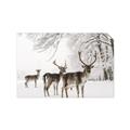 Picture of Winter Deers _GroupedProduct_Rectangle_Landscape_Photography _GroupedProduct_Rectangle_Landscape_Unframed_Print_Only_
