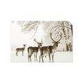 Picture of Winter Deers _GroupedProduct_Rectangle_Landscape_Photography _GroupedProduct_Rectangle_Landscape_Unframed_Print_Only_