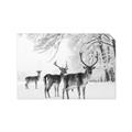 Picture of Winter Deers _GroupedProduct_Rectangle_Landscape_Photography _GroupedProduct_Rectangle_Landscape_Unframed_Print_Only_