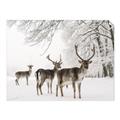 Picture of Winter Deers _GroupedProduct_Rectangle_Landscape_Photography _GroupedProduct_Rectangle_Landscape_Unframed_Print_Only_