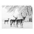Picture of Winter Deers _GroupedProduct_Rectangle_Landscape_Photography _GroupedProduct_Rectangle_Landscape_Unframed_Print_Only_