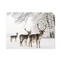 Picture of Winter Deers _GroupedProduct_Rectangle_Landscape_Photography _GroupedProduct_Rectangle_Landscape_Unframed_Print_Only_