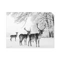 Picture of Winter Deers _GroupedProduct_Rectangle_Landscape_Photography _GroupedProduct_Rectangle_Landscape_Unframed_Print_Only_
