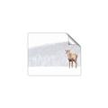 Picture of Winter Stag _GroupedProduct_Rectangle_Landscape_Unframed_Print_Only_