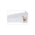 Picture of Winter Stag _GroupedProduct_Rectangle_Landscape_Unframed_Print_Only_