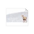 Picture of Winter Stag _GroupedProduct_Rectangle_Landscape_Unframed_Print_Only_