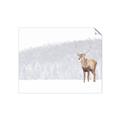 Picture of Winter Stag _GroupedProduct_Rectangle_Landscape_Unframed_Print_Only_