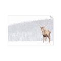 Picture of Winter Stag _GroupedProduct_Rectangle_Landscape_Unframed_Print_Only_