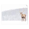Picture of Winter Stag _GroupedProduct_Rectangle_Landscape_Unframed_Print_Only_