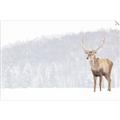 Picture of Winter Stag _GroupedProduct_Rectangle_Landscape_Unframed_Print_Only_