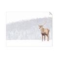 Picture of Winter Stag _GroupedProduct_Rectangle_Landscape_Unframed_Print_Only_