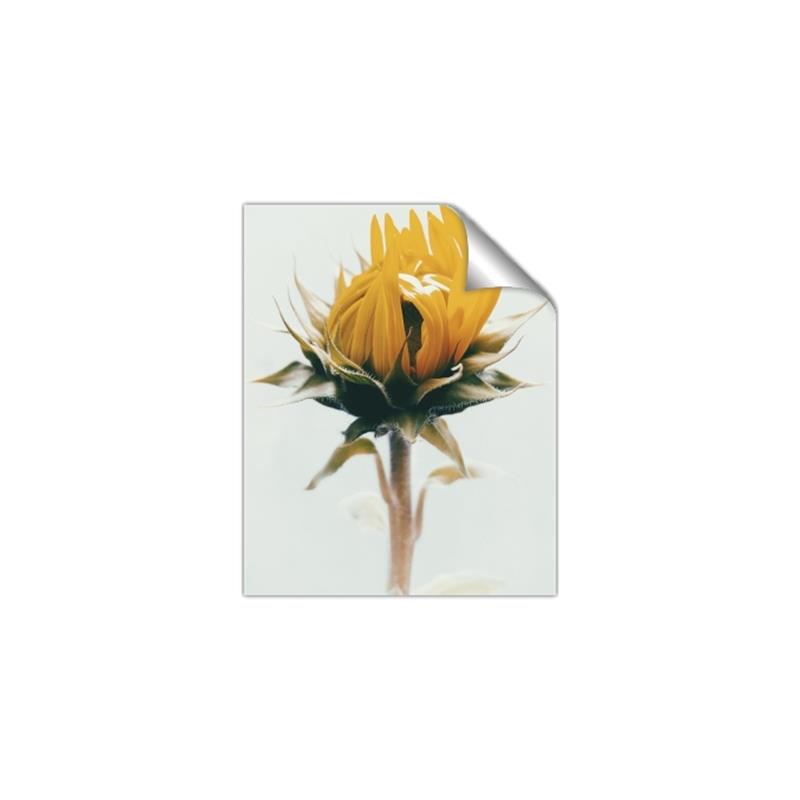 Picture of Yellow Bloom _GroupedProduct_Rectangle_Portrait_Photography _GroupedProduct_Rectangle_Portrait_Unframed_Print_Only_