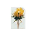Picture of Yellow Bloom _GroupedProduct_Rectangle_Portrait_Photography _GroupedProduct_Rectangle_Portrait_Unframed_Print_Only_