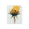 Picture of Yellow Bloom _GroupedProduct_Rectangle_Portrait_Photography _GroupedProduct_Rectangle_Portrait_Unframed_Print_Only_