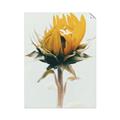Picture of Yellow Bloom _GroupedProduct_Rectangle_Portrait_Photography _GroupedProduct_Rectangle_Portrait_Unframed_Print_Only_