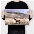 Picture of Lone Horse  _GroupedProduct_Rectangle_Landscape_Photography _GroupedProduct_Rectangle_Landscape_Canvas_