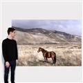 Picture of Lone Horse  _GroupedProduct_Rectangle_Landscape_Photography _GroupedProduct_Rectangle_Landscape_Canvas_