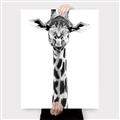 Picture of Long Neck II _GroupedProduct_Rectangle_Portrait_Photography _GroupedProduct_Rectangle_Portrait_Canvas_