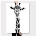 Picture of Long Neck II _GroupedProduct_Rectangle_Portrait_Photography _GroupedProduct_Rectangle_Portrait_Canvas_
