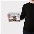 Picture of Longhorn Bull _GroupedProduct_Rectangle_Landscape_Photography _GroupedProduct_Rectangle_Landscape_Canvas_