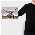 Picture of Longhorn Bull _GroupedProduct_Rectangle_Landscape_Photography _GroupedProduct_Rectangle_Landscape_Canvas_