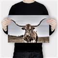 Picture of Longhorn Bull _GroupedProduct_Rectangle_Landscape_Photography _GroupedProduct_Rectangle_Landscape_Canvas_