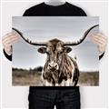 Picture of Longhorn Bull _GroupedProduct_Rectangle_Landscape_Photography _GroupedProduct_Rectangle_Landscape_Canvas_