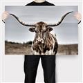 Picture of Longhorn Bull _GroupedProduct_Rectangle_Landscape_Photography _GroupedProduct_Rectangle_Landscape_Canvas_