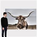 Picture of Longhorn Bull _GroupedProduct_Rectangle_Landscape_Photography _GroupedProduct_Rectangle_Landscape_Canvas_