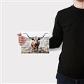 Picture of Longhorn Bull II _GroupedProduct_Rectangle_Landscape_Photography _GroupedProduct_Rectangle_Landscape_Canvas_