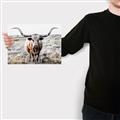 Picture of Longhorn Bull II _GroupedProduct_Rectangle_Landscape_Photography _GroupedProduct_Rectangle_Landscape_Canvas_