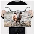 Picture of Longhorn Bull II _GroupedProduct_Rectangle_Landscape_Photography _GroupedProduct_Rectangle_Landscape_Canvas_