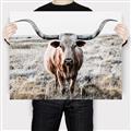 Picture of Longhorn Bull II _GroupedProduct_Rectangle_Landscape_Photography _GroupedProduct_Rectangle_Landscape_Canvas_