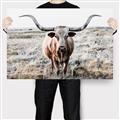 Picture of Longhorn Bull II _GroupedProduct_Rectangle_Landscape_Photography _GroupedProduct_Rectangle_Landscape_Canvas_