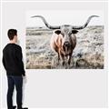 Picture of Longhorn Bull II _GroupedProduct_Rectangle_Landscape_Photography _GroupedProduct_Rectangle_Landscape_Canvas_