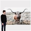 Picture of Longhorn Bull II _GroupedProduct_Rectangle_Landscape_Photography _GroupedProduct_Rectangle_Landscape_Canvas_