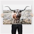 Picture of Longhorn Bull II _GroupedProduct_Rectangle_Landscape_Photography _GroupedProduct_Rectangle_Landscape_Canvas_