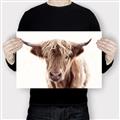 Picture of Maggie, the Cow  _GroupedProduct_Rectangle_Landscape_Photography _GroupedProduct_Rectangle_Landscape_Canvas_