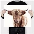 Picture of Maggie, the Cow  _GroupedProduct_Rectangle_Landscape_Photography _GroupedProduct_Rectangle_Landscape_Canvas_