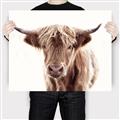 Picture of Maggie, the Cow  _GroupedProduct_Rectangle_Landscape_Photography _GroupedProduct_Rectangle_Landscape_Canvas_