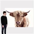 Picture of Maggie, the Cow  _GroupedProduct_Rectangle_Landscape_Photography _GroupedProduct_Rectangle_Landscape_Canvas_
