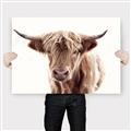 Picture of Maggie, the Cow  _GroupedProduct_Rectangle_Landscape_Photography _GroupedProduct_Rectangle_Landscape_Canvas_