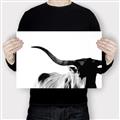 Picture of Max, the Bull _GroupedProduct_Rectangle_Landscape_Photography _GroupedProduct_Rectangle_Landscape_Canvas_