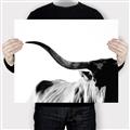 Picture of Max, the Bull _GroupedProduct_Rectangle_Landscape_Photography _GroupedProduct_Rectangle_Landscape_Canvas_