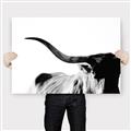 Picture of Max, the Bull _GroupedProduct_Rectangle_Landscape_Photography _GroupedProduct_Rectangle_Landscape_Canvas_