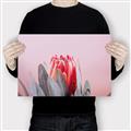 Picture of Mid Bloom _GroupedProduct_Rectangle_Landscape_Photography _GroupedProduct_Rectangle_Landscape_Canvas_