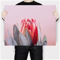 Picture of Mid Bloom _GroupedProduct_Rectangle_Landscape_Photography _GroupedProduct_Rectangle_Landscape_Canvas_
