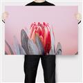 Picture of Mid Bloom _GroupedProduct_Rectangle_Landscape_Photography _GroupedProduct_Rectangle_Landscape_Canvas_